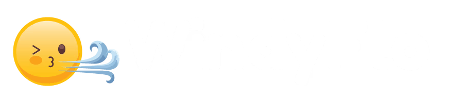 WindyFlo 블로그